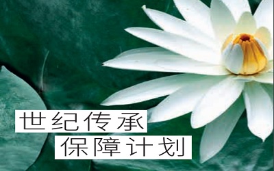 宏利manulife世紀(jì)傳承保障計(jì)劃_百年大計(jì),保證派發(fā)